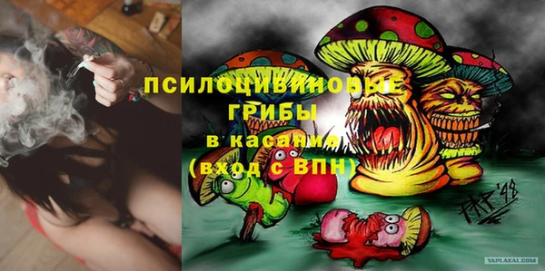 мяу мяу мука Абинск