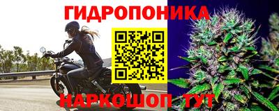 прущая мука Дубна