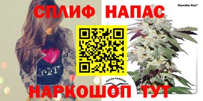 прущая мука Дубна