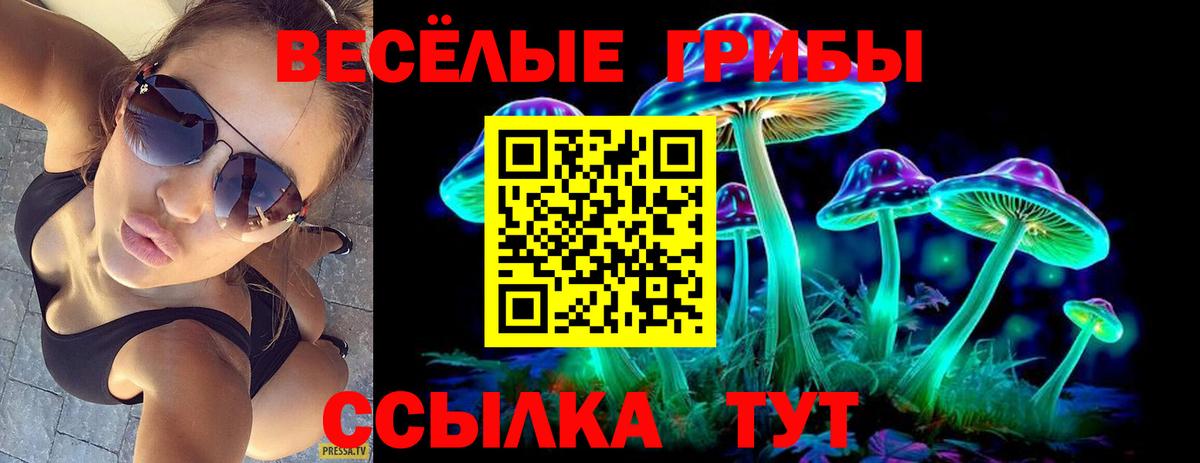 Галлюциногенные грибы Magic Shrooms Зеленодольск